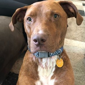 Meet your Posher, Sheri